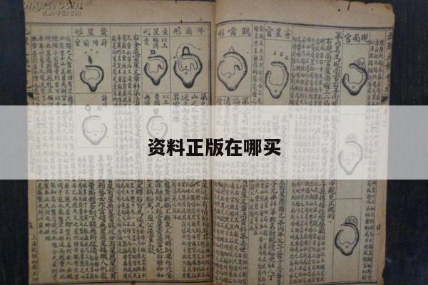新闻中心 第12页