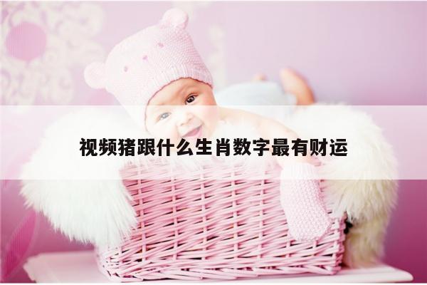 视频猪跟什么生肖数字最有财运