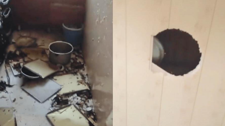 新澳门最快开奖和高压锅煮粽子爆炸与高压锅煮粽子爆炸是怎么回事