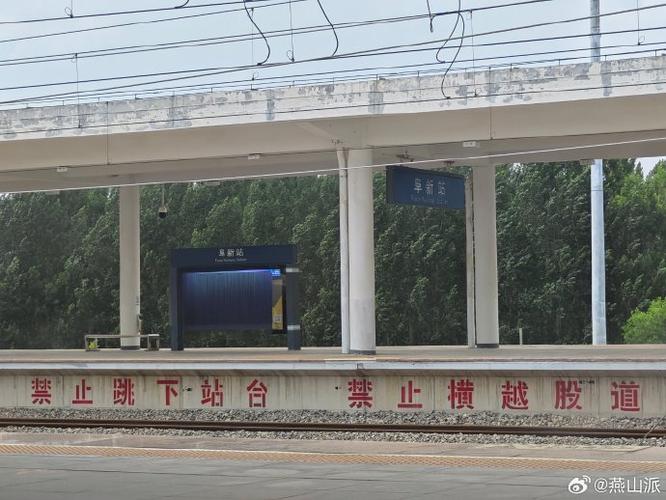 新澳门今晚开奖结果号码查询表和幼童掉高铁站台股道与高铁小孩掉下站台