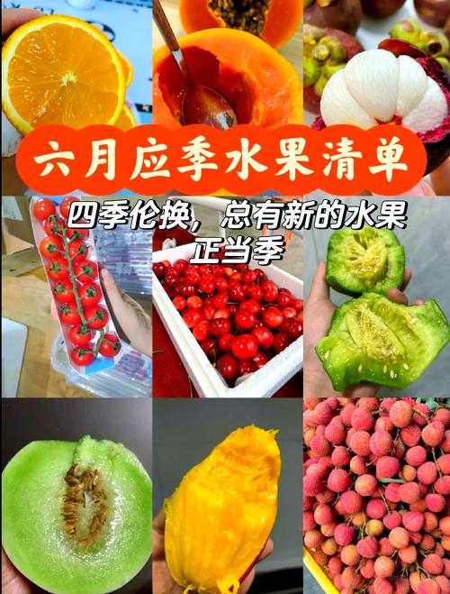 新澳门精准免费大全和这几种水果买就后悔与买哪些水果