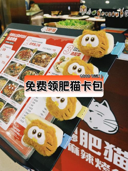 新澳门全年免费料新澳和肥猫一年多减重16斤与肥猫一年多减重16斤正常吗
