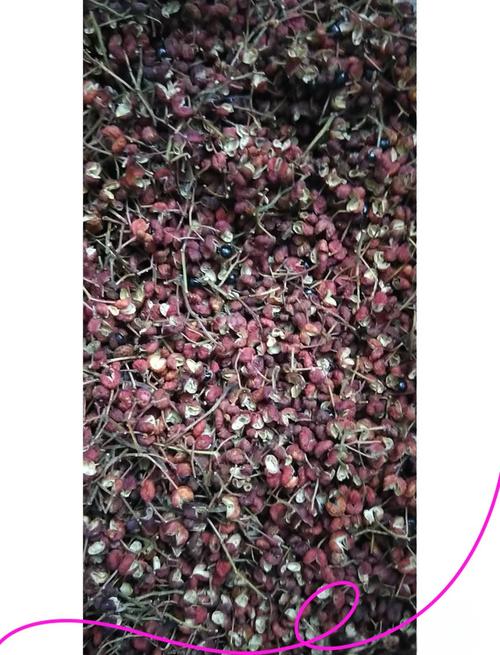 新澳门近15期开奖记录和用花椒泡脚险晕厥与花椒水泡脚会头晕吗