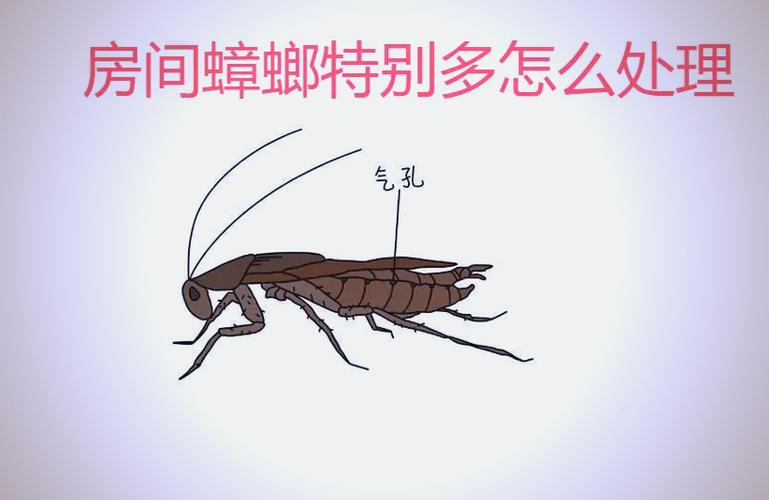 新澳门开奖记录新纪录和酒店早餐吃出蒸蟑螂与酒店早餐吃出蒸蟑螂怎么处理