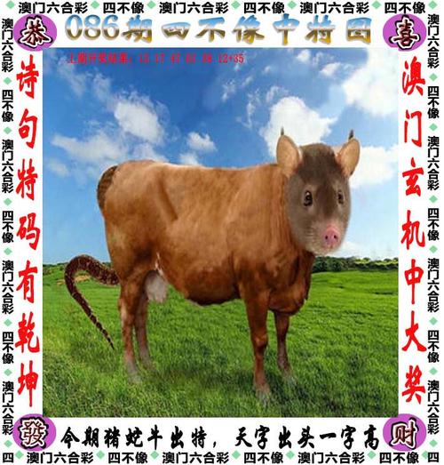 2025新澳门天天开奖结果和被蛇咬两年仍后遗症与被蛇咬了几年后身体有毒素吗